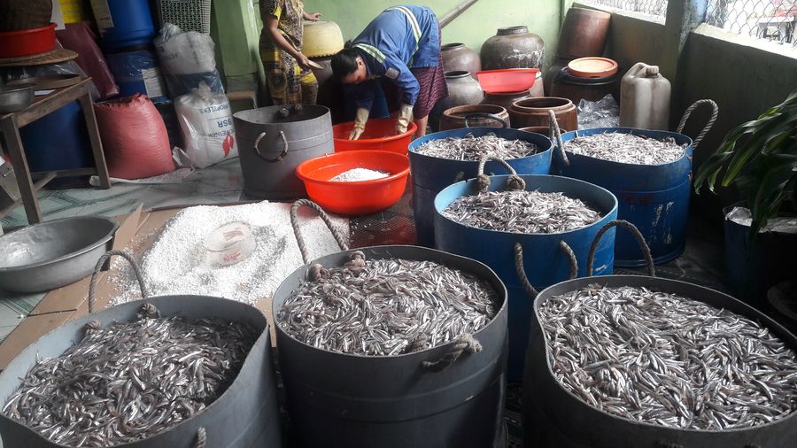 Chuẩn bị nguyên liệu đầu vào sản xuất nước mắm