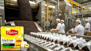 Quy trình sản xuất trà túi lọc công nghiệp