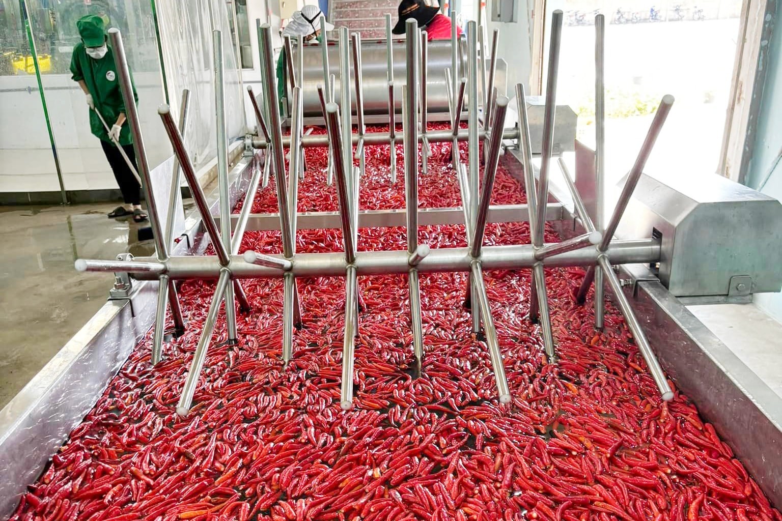 nguyên liệu sản xuất tương ớt