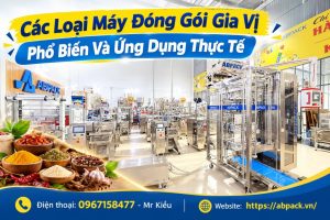 Các Loại Máy Đóng Gói Gia Vị Phổ Biến Và Ứng Dụng Thực Tế