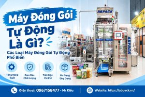 Máy Đóng Gói Tự Động Là Gì? Các Loại Máy Đóng Gói Tự Động Phổ Biến